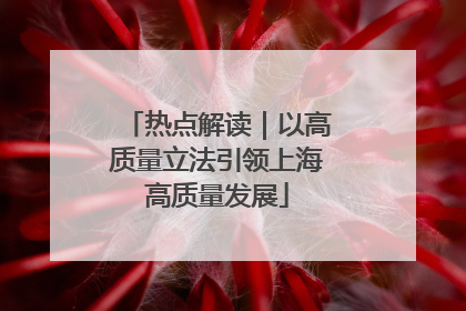 热点解读｜以高质量立法引领上海高质量发展